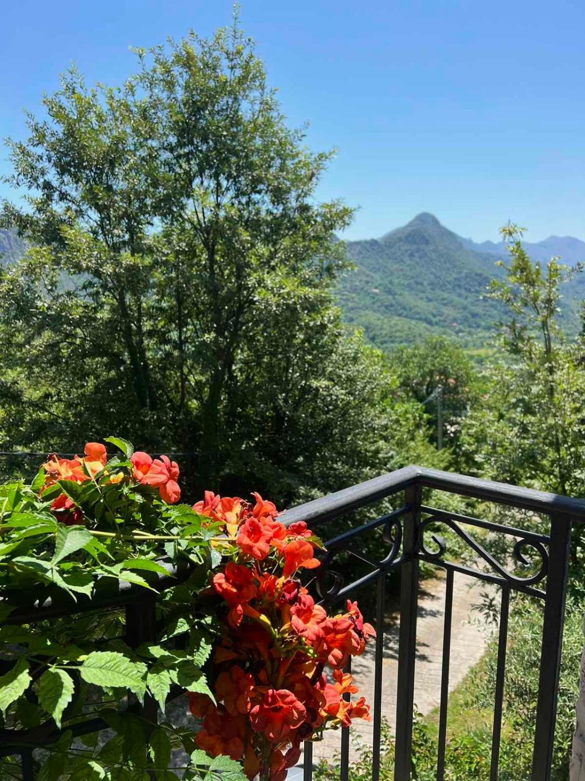Dado Virpazar Exterior foto